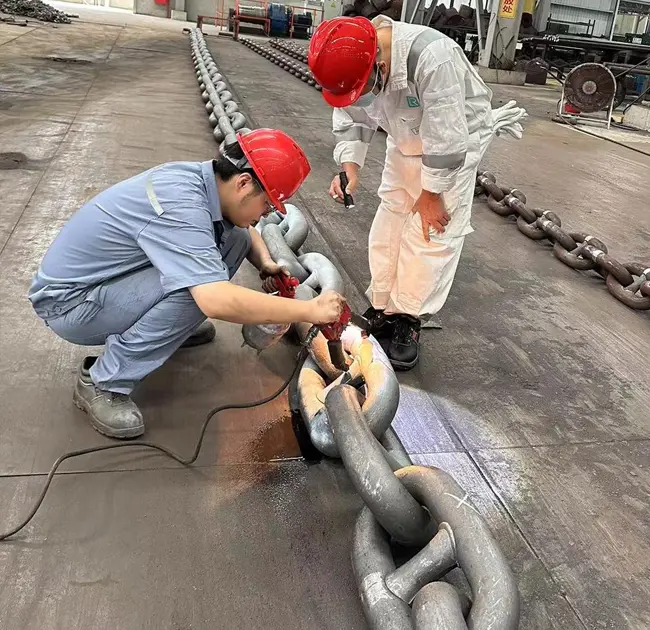 «Стальная жизнь» морского мира