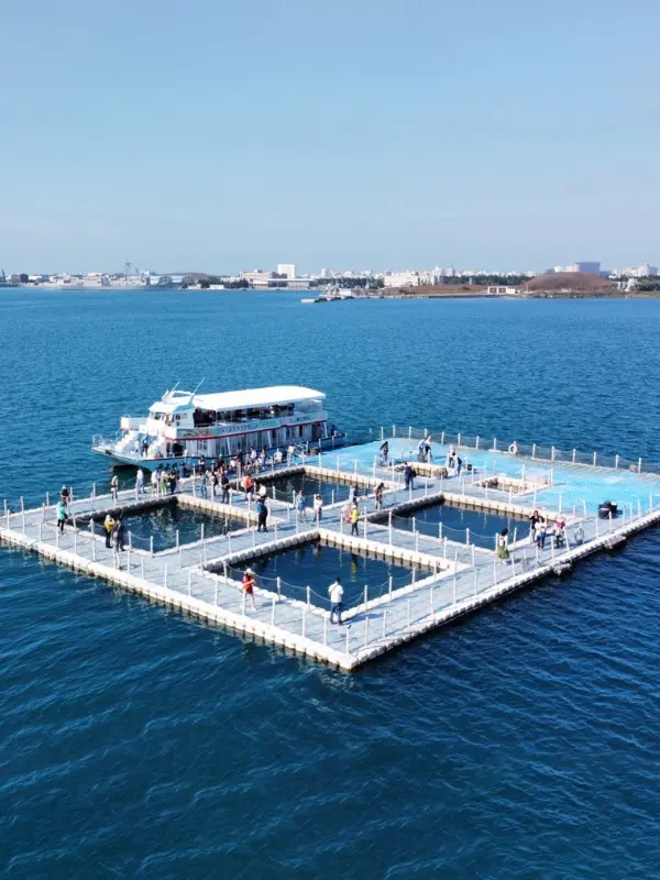 Морское ранчо